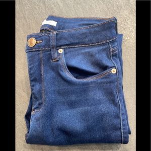 STS Blue Ellie High Rise Skinny Jean size 4